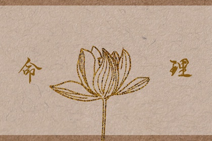 择吉老黄历|黄历择吉|择吉皇历